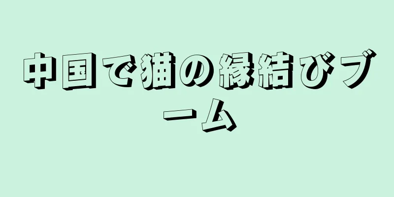 中国で猫の縁結びブーム