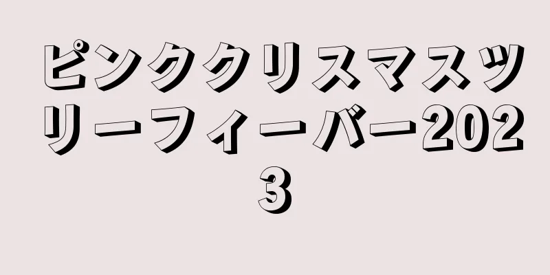 ピンククリスマスツリーフィーバー2023