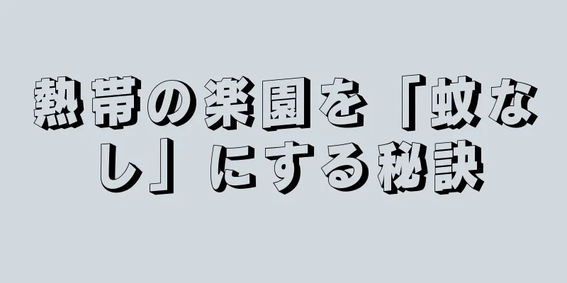 熱帯の楽園を「蚊なし」にする秘訣