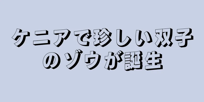 ケニアで珍しい双子のゾウが誕生