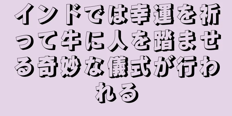 インドでは幸運を祈って牛に人を踏ませる奇妙な儀式が行われる
