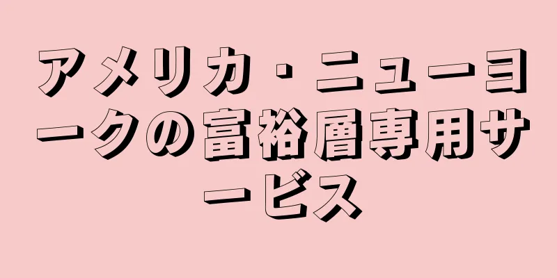 アメリカ・ニューヨークの富裕層専用サービス