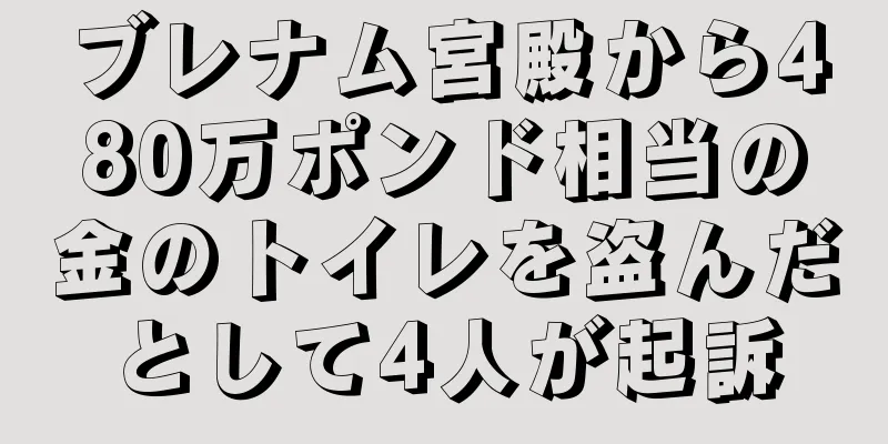 ブレナム宮殿から480万ポンド相当の金のトイレを盗んだとして4人が起訴