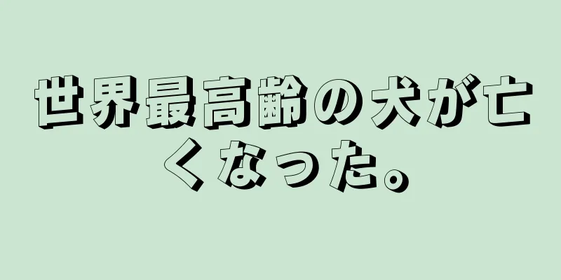 世界最高齢の犬が亡くなった。