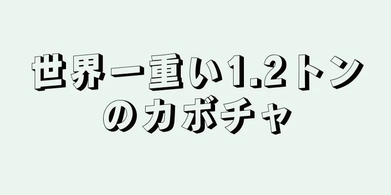 世界一重い1.2トンのカボチャ