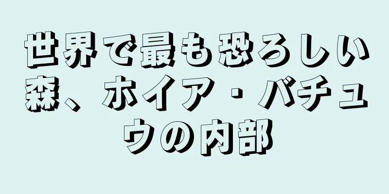世界で最も恐ろしい森、ホイア・バチュウの内部