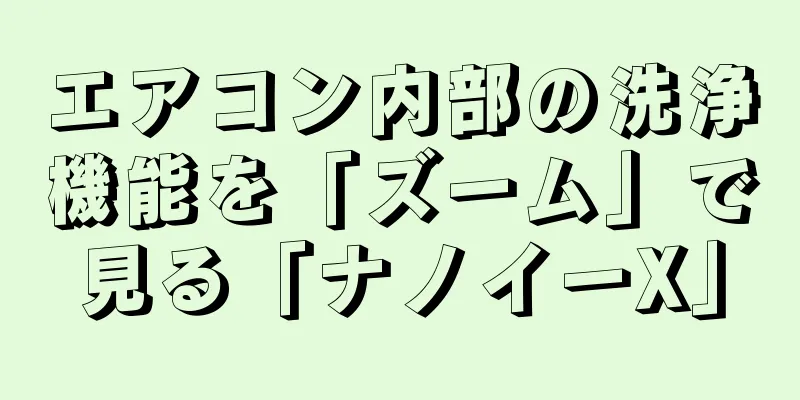 エアコン内部の洗浄機能を「ズーム」で見る「ナノイーX」