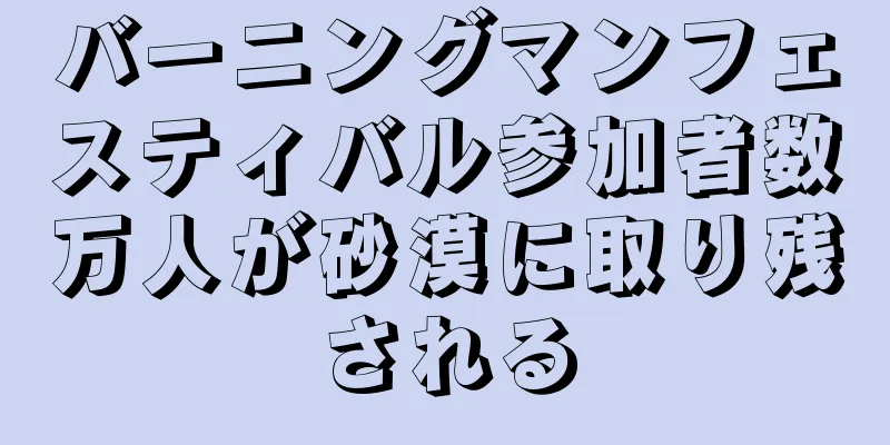 バーニングマンフェスティバル参加者数万人が砂漠に取り残される
