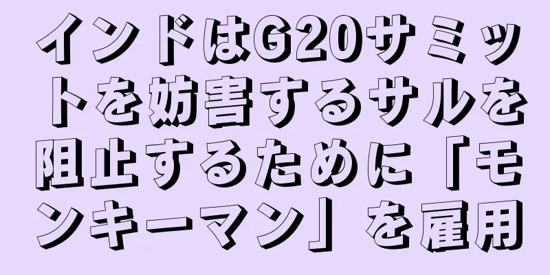 インドはG20サミットを妨害するサルを阻止するために「モンキーマン」を雇用