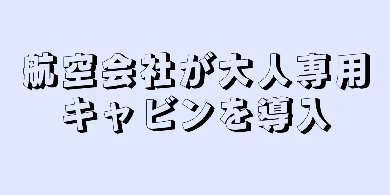 航空会社が大人専用キャビンを導入