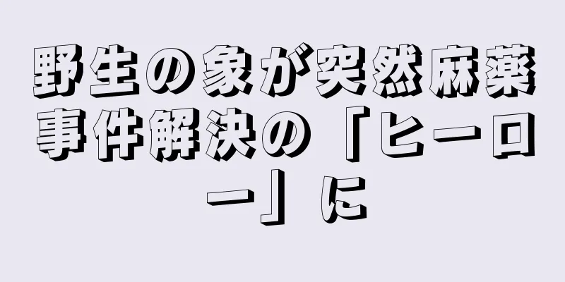野生の象が突然麻薬事件解決の「ヒーロー」に