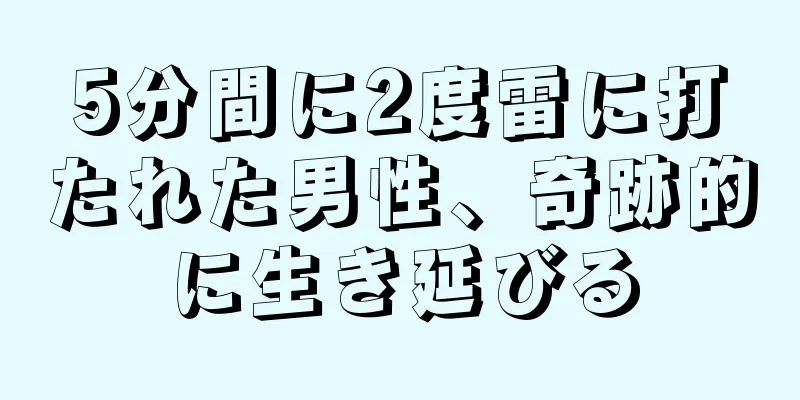5分間に2度雷に打たれた男性、奇跡的に生き延びる