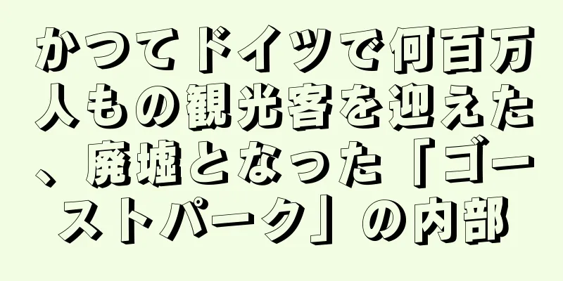かつてドイツで何百万人もの観光客を迎えた、廃墟となった「ゴーストパーク」の内部