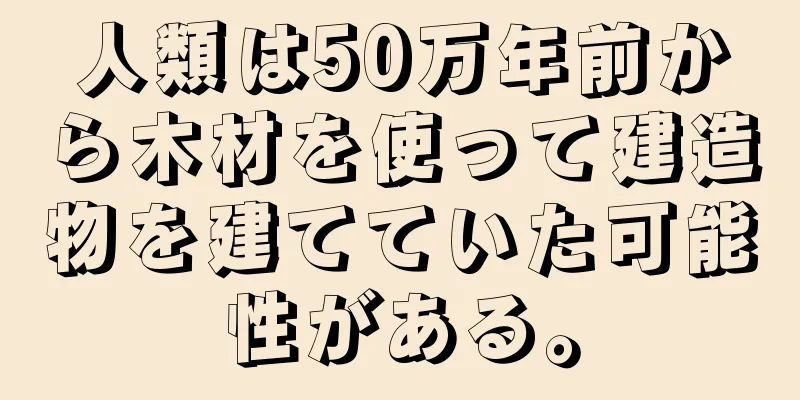 人類は50万年前から木材を使って建造物を建てていた可能性がある。