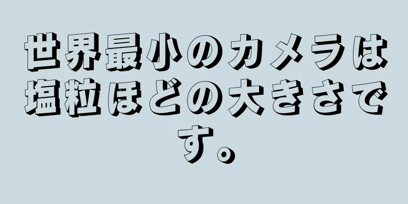 世界最小のカメラは塩粒ほどの大きさです。