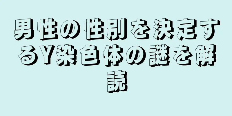 男性の性別を決定するY染色体の謎を解読