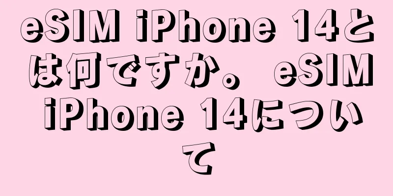 eSIM iPhone 14とは何ですか。 eSIM iPhone 14について
