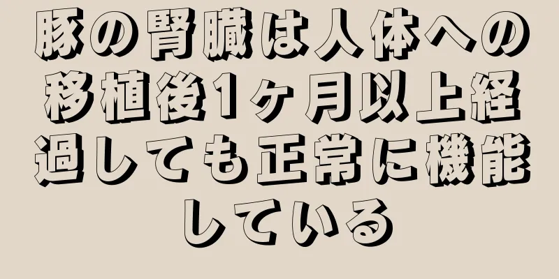 豚の腎臓は人体への移植後1ヶ月以上経過しても正常に機能している
