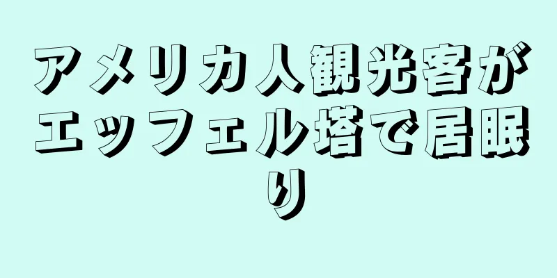 アメリカ人観光客がエッフェル塔で居眠り