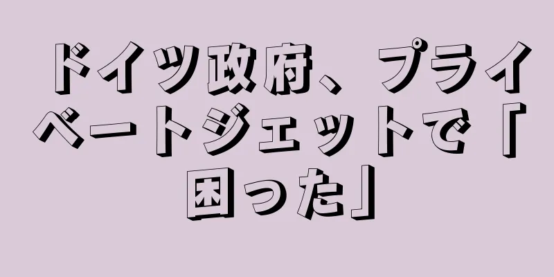 ドイツ政府、プライベートジェットで「困った」