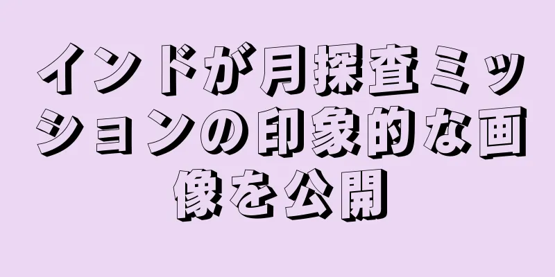 インドが月探査ミッションの印象的な画像を公開