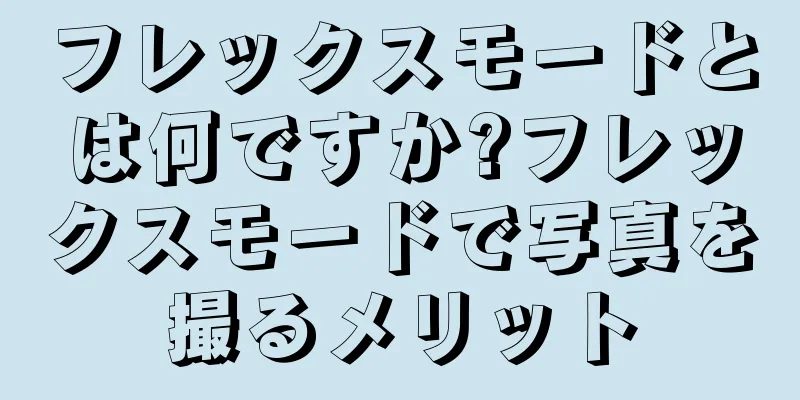 フレックスモードとは何ですか?フレックスモードで写真を撮るメリット