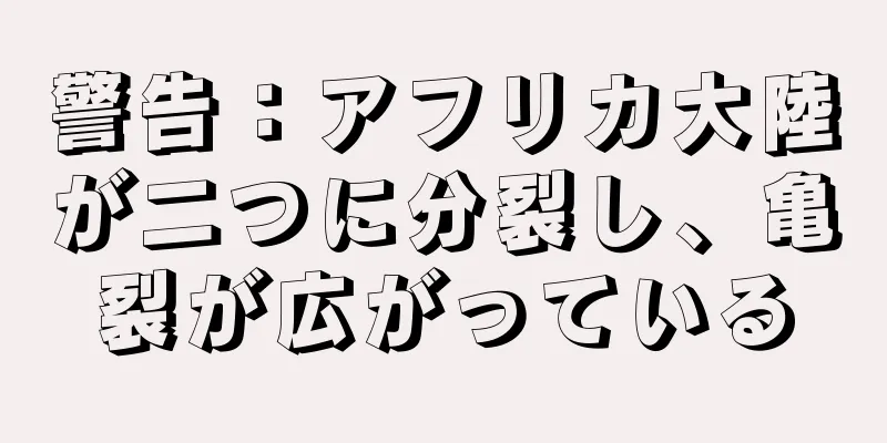 警告：アフリカ大陸が二つに分裂し、亀裂が広がっている