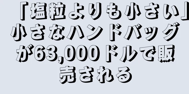 「塩粒よりも小さい」小さなハンドバッグが63,000ドルで販売される