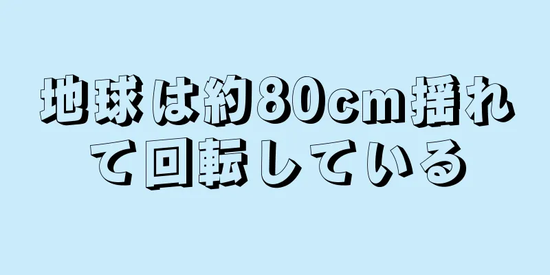 地球は約80cm揺れて回転している