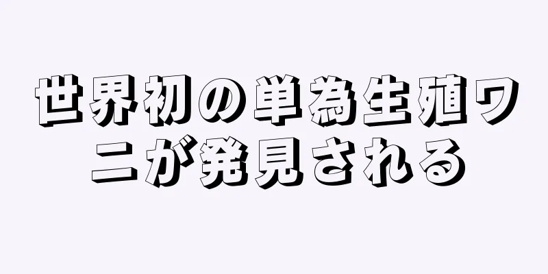 世界初の単為生殖ワニが発見される