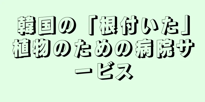 韓国の「根付いた」植物のための病院サービス