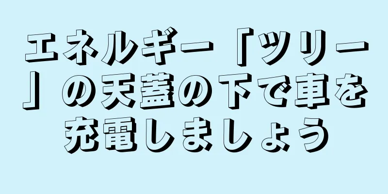 エネルギー「ツリー」の天蓋の下で車を充電しましょう