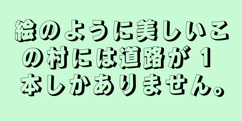 絵のように美しいこの村には道路が 1 本しかありません。