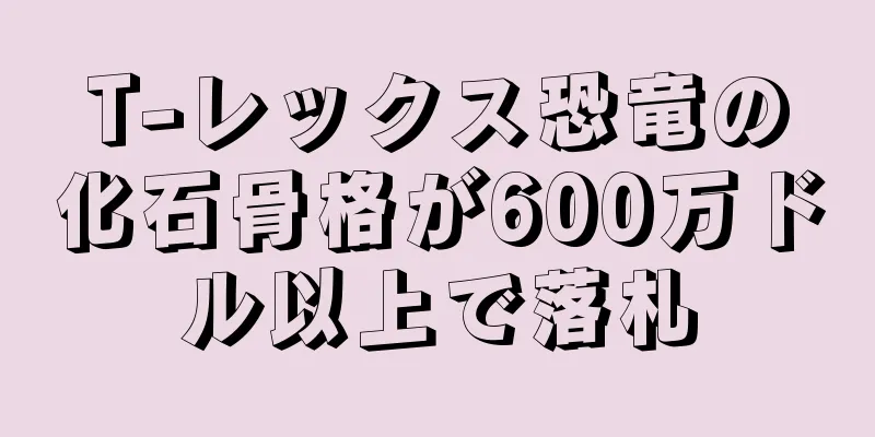 T-レックス恐竜の化石骨格が600万ドル以上で落札