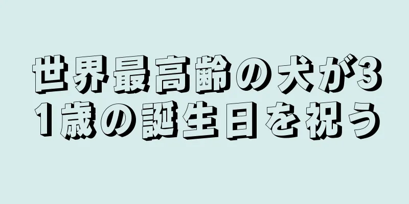 世界最高齢の犬が31歳の誕生日を祝う