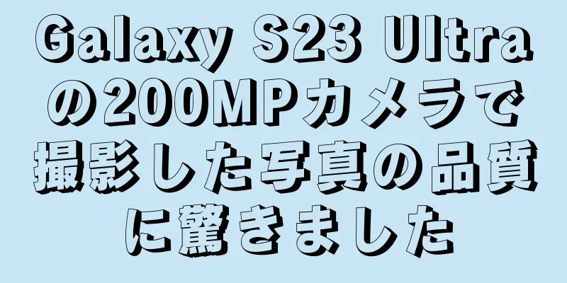 Galaxy S23 Ultraの200MPカメラで撮影した写真の品質に驚きました