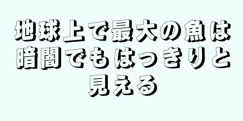 地球上で最大の魚は暗闇でもはっきりと見える