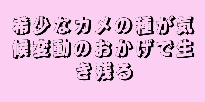 希少なカメの種が気候変動のおかげで生き残る