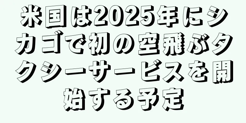 米国は2025年にシカゴで初の空飛ぶタクシーサービスを開始する予定