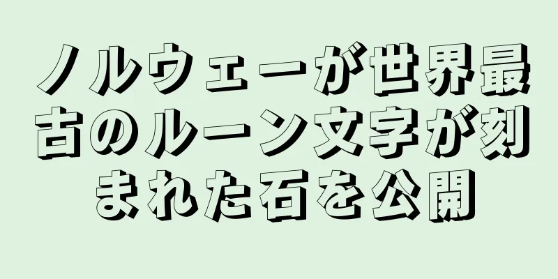ノルウェーが世界最古のルーン文字が刻まれた石を公開