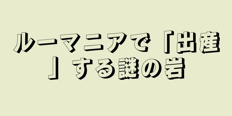 ルーマニアで「出産」する謎の岩