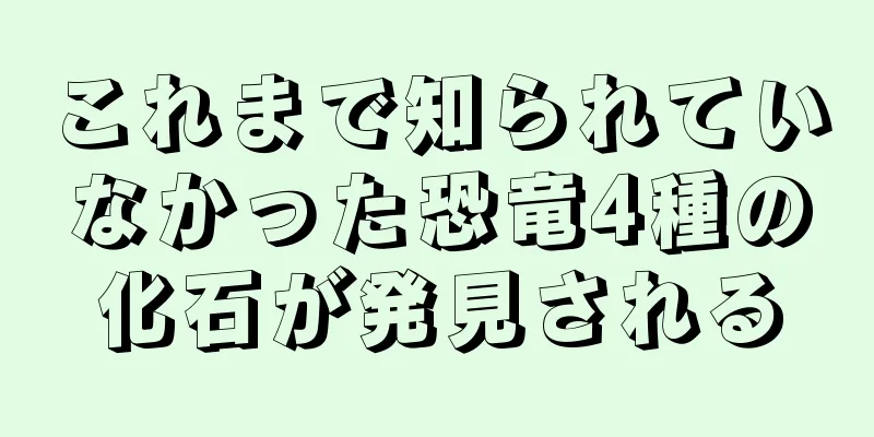 これまで知られていなかった恐竜4種の化石が発見される
