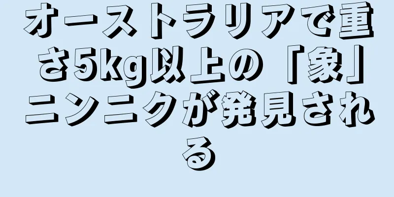 オーストラリアで重さ5kg以上の「象」ニンニクが発見される