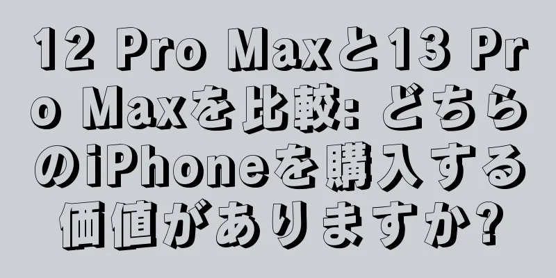 12 Pro Maxと13 Pro Maxを比較: どちらのiPhoneを購入する価値がありますか?