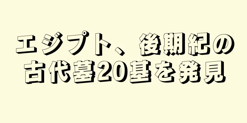 エジプト、後期紀の古代墓20基を発見