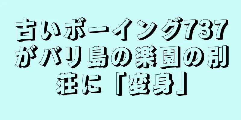 古いボーイング737がバリ島の楽園の別荘に「変身」