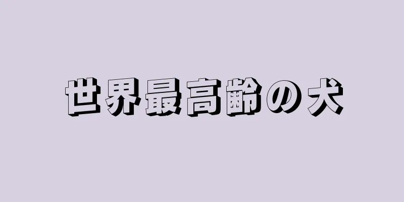 世界最高齢の犬
