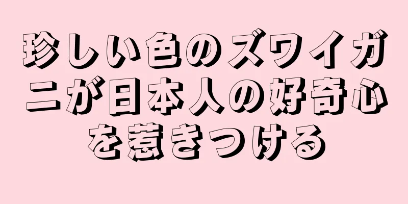珍しい色のズワイガニが日本人の好奇心を惹きつける