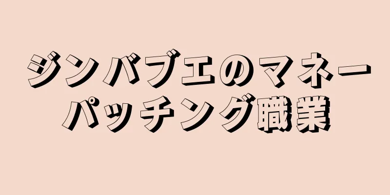 ジンバブエのマネーパッチング職業