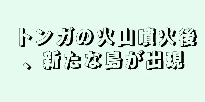 トンガの火山噴火後、新たな島が出現